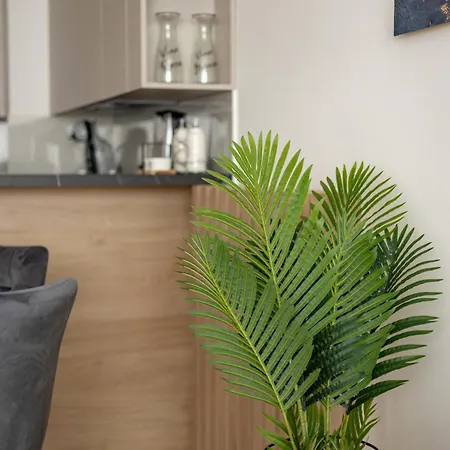 N65 Lux Apartment Belgrade